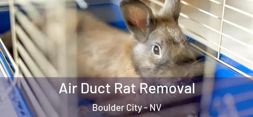  Air Duct Rat Removal Boulder City - NV