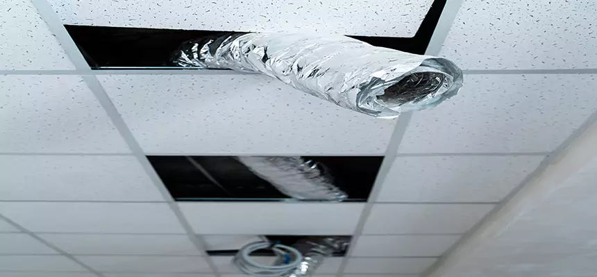 Affordable HVAC Sanitizing After Pest Removal in Boulder City