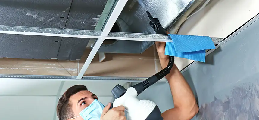 Our Air Duct Rodent Removal Services in Boulder City, NV