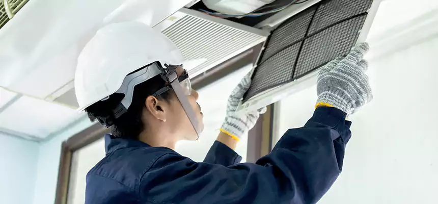 Our Mold & Mildew Removal from Air Ducts Services in Boulder City, NV