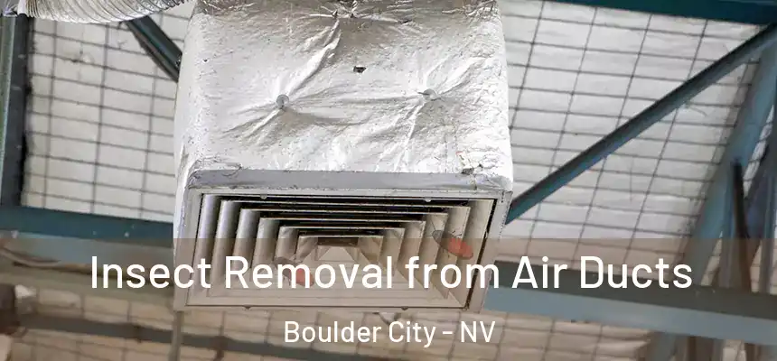 Insect Removal from Air Ducts Boulder City - NV
