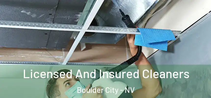  Licensed And Insured Cleaners Boulder City - NV