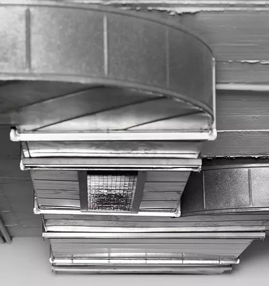 Professional Air Duct Pest Removal in Boulder City, NV