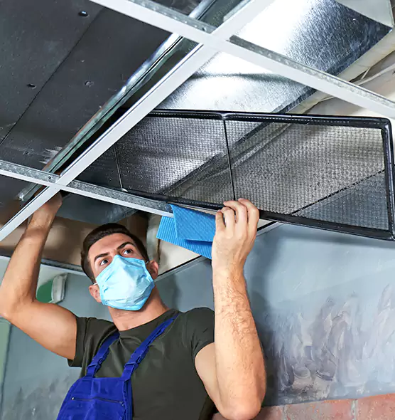 Professional Air Duct Pollen Cleaning in Boulder City, NV
